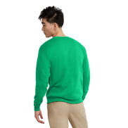 Hanes Men's EcoSmart Sweatshirt, Black, Large