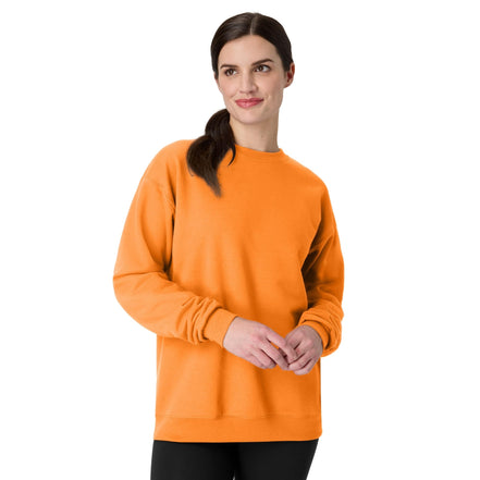 Hanes Men's EcoSmart Sweatshirt, Black, Large