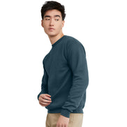 Hanes Men's EcoSmart Sweatshirt, Black, Large